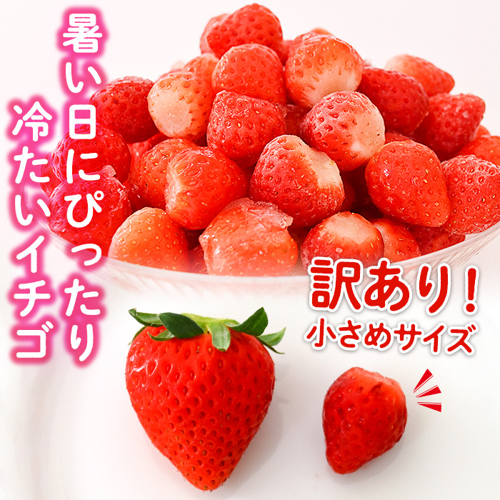 No.362 ＜訳あり・小粒＞ころころサイズの冷凍いちご(計約2.55kg・850g×3袋) 訳アリ イチゴ 苺 冷凍 果物 フルーツ 国産 鹿児島県産 減農薬 アイス 不揃い 規格外【片平観光農園】