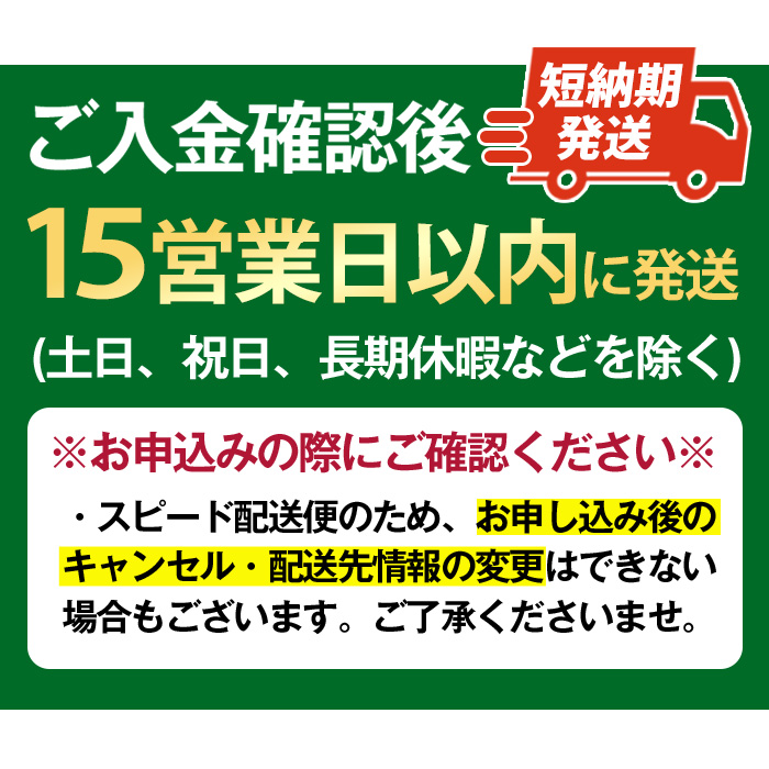 No.1099-B 一蘭ラーメンちぢれ麺(計20食・スープ付き) 麺 常温保存 簡単 簡単調理 中華 お手軽 インスタント 本格 博多ラーメン 備蓄 保存食 仕送り 日置市限定 一蘭 ちぢれ麺【一蘭】【1099-A】【1099-B】【1099-C】【1363】【1364】【1365】【1366】【1367】【1368】