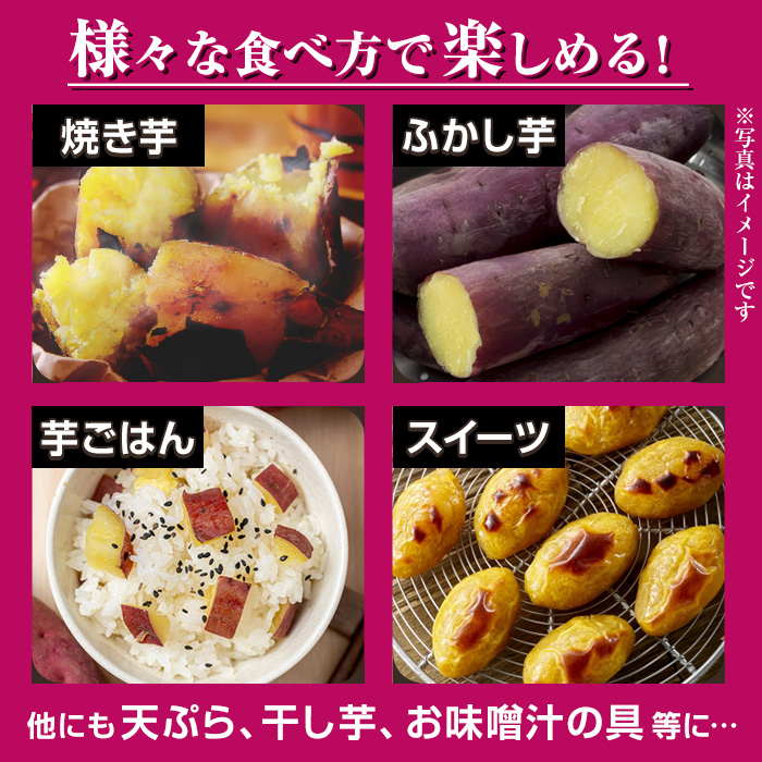 No.560-A ＜訳あり・不揃い＞鹿児島県日置市産さつまいも！熟成紅はるか(約6kg) 国産 九州産 サツマイモ  訳アリ 紅春香 熟成 芋 焼き芋 野菜 スイーツ 常温保存【末永商店】
