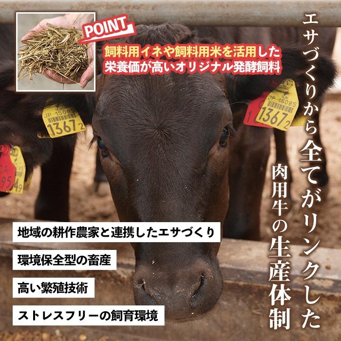 【三太郎の日限定】九州産黒毛和牛切り落とし(計900g・300g×3P) 牛肉 切落し 和牛 冷凍 国産 九州産 小分け お肉 牛丼 野菜炒め カレー No.1015-KG【LRプラスK】