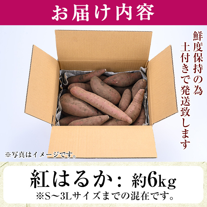 No.560-A ＜訳あり・不揃い＞鹿児島県日置市産さつまいも！熟成紅はるか(約6kg) 国産 九州産 サツマイモ  訳アリ 紅春香 熟成 芋 焼き芋 野菜 スイーツ 常温保存【末永商店】