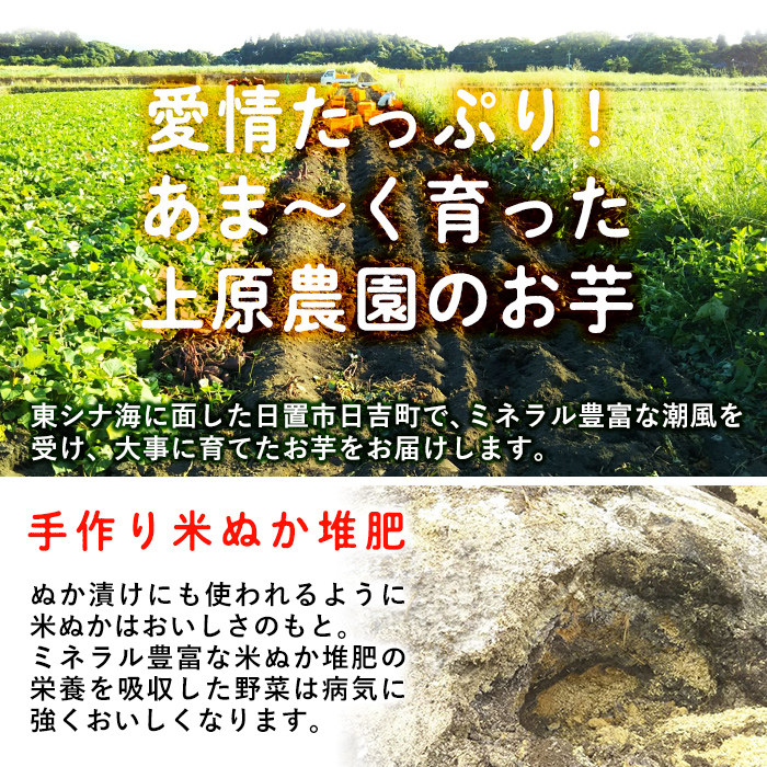 No.433 ＜先行予約受付中！＞鹿児島県産！栽培期間中農薬不使用 特選甘熟さつまいも(生)紅はるか3kg(S・M・Lサイズ 混在) 贈り物 焼き芋 大学芋 スイーツ ギフト 贈答用 【上原農園】