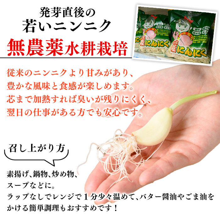 No.1374 鹿児島県産 さつま姫にんにく(20個×2袋・計40個) 国産 九州産 鹿児島 にんにく ひげにんにく ニンニク 調味料 【新川園芸】