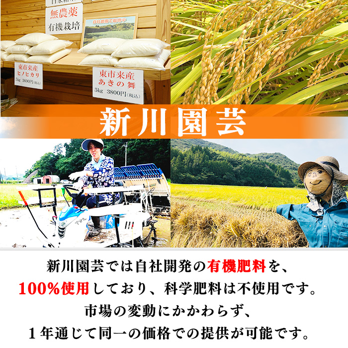 No.1374 鹿児島県産 さつま姫にんにく(20個×2袋・計40個) 国産 九州産 鹿児島 にんにく ひげにんにく ニンニク 調味料 【新川園芸】
