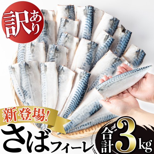 【三太郎の日限定】訳あり！無塩とろさばフィーレ(約3kg) 干物 さば サバ 鯖 魚介類 魚 訳アリ 人気 フィレ 不揃い 冷凍 切り身 切身 おかず 惣菜 お弁当 無塩 便利 No.1383-C【みのだ食品】