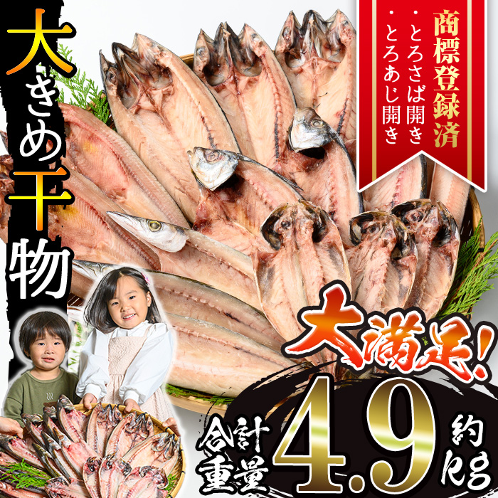 No.406-C 大きめ干物詰合せ＜合計約4.9kg＞ 干物 セット 詰め合わせ ひもの 魚介類 魚 あじ さば おかず おつまみ お楽しみ 【みのだ食品】