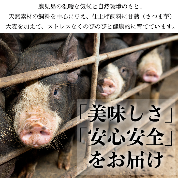 No.404 鹿児島県産黒豚肉使用！黒豚切り落とし合計1.3kg超！(150g×9P)【コワダヤ】