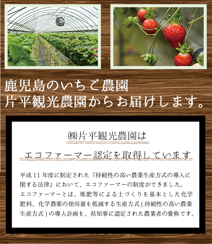 No.362 ＜訳あり・小粒＞ころころサイズの冷凍いちご(計約2.55kg・850g×3袋) 訳アリ イチゴ 苺 冷凍 果物 フルーツ 国産 鹿児島県産 減農薬 アイス 不揃い 規格外【片平観光農園】
