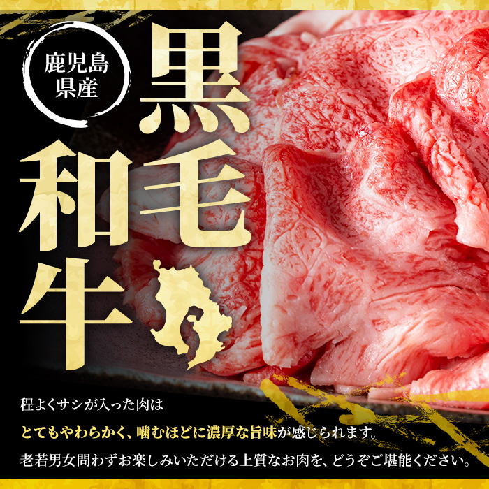 No.1360 黒毛和牛・黒豚バラの焼肉＆黒毛和牛ステーキのセット(合計1.1kg！和牛ロース/バラ200g・和牛モモ200g・和牛ロースステーキ200g×2・黒豚バラ300g)  【NBフード】