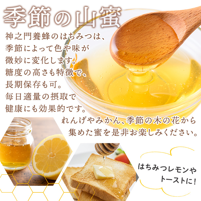 No.1074 鹿児島県産 はちみつ(600g×2本・計1.2kg) 国産 九州産 鹿児島県産 はちみつ ハチミツ 蜂蜜 山蜜 調味料 セット ギフト 贈答 プレゼント【神之門養蜂】