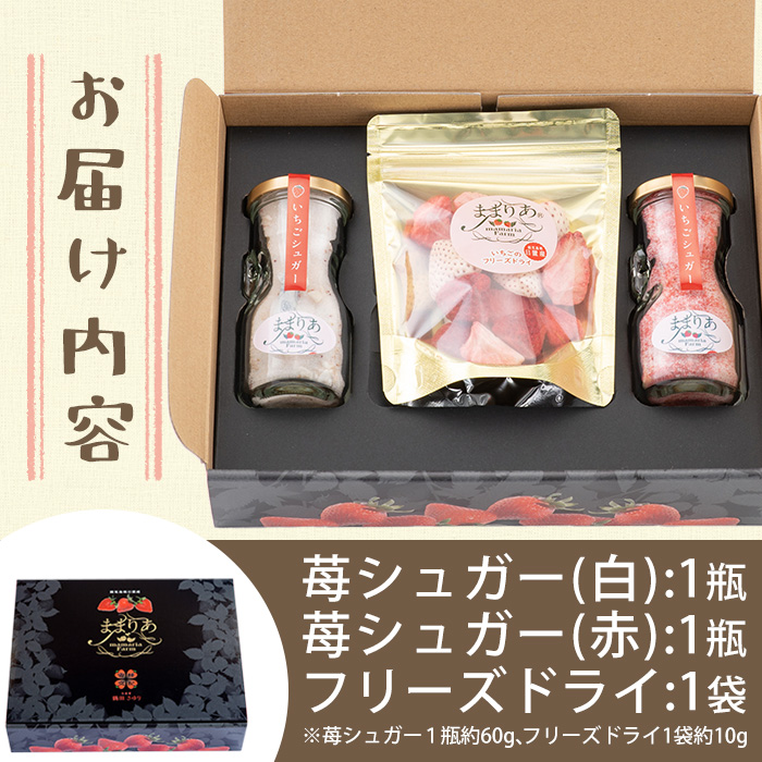 No.881 紅白苺のシュガー(60g×2瓶)とフリーズドライ(10g×1袋) 【ままりあ農園】