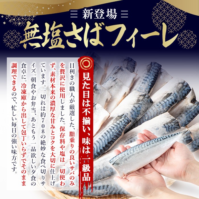 No.1383-A 訳あり！無塩とろさばフィーレ(約1kg) 干物 さば サバ 鯖 魚介類 魚 訳アリ 人気 フィレ 不揃い 冷凍 切り身 切身 おかず 惣菜 お弁当 無塩 便利 【みのだ食品】