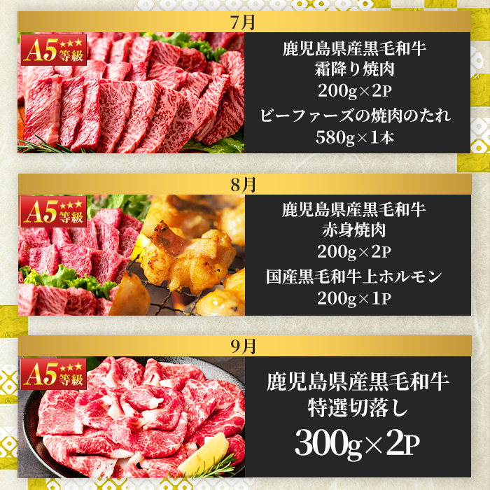 No.754 ＜定期便・全12回(連続)＞お楽しみ！大人気の返礼品定期便(全12回・ステーキ、ハンバーグ、ローストビーフなど)【LRプラスK】