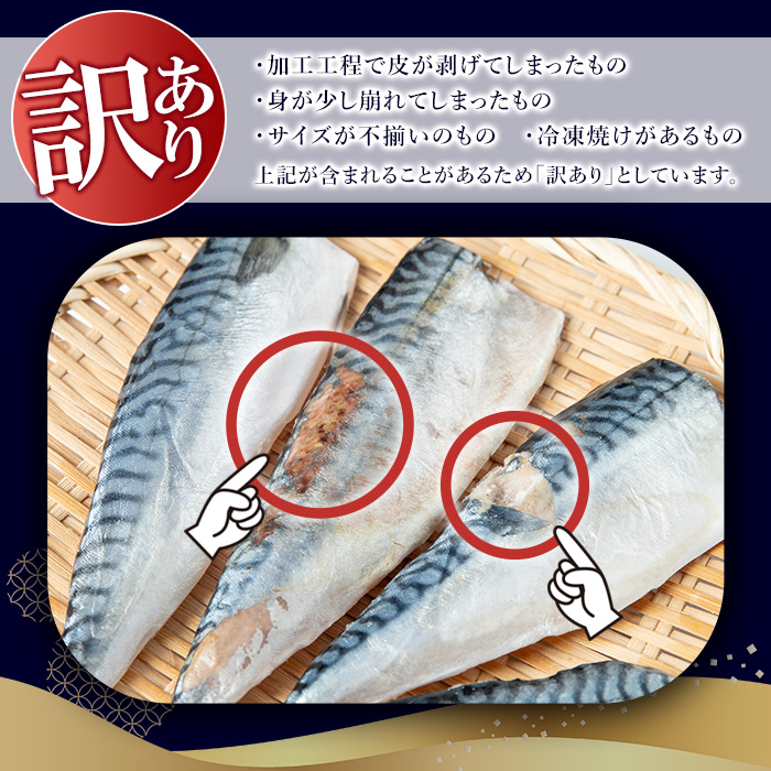 No.1383-B  訳あり！無塩とろさばフィーレ(約2kg) 干物 さば サバ 鯖 魚介類 魚 訳アリ 人気 フィレ 不揃い 冷凍 切り身 切身 おかず 惣菜 お弁当 無塩 便利 【みのだ食品】