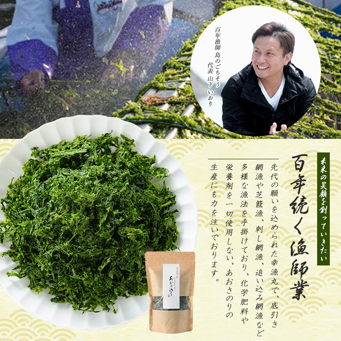 百年漁師　乾燥あおさのり　10袋セット【島のごちそう】gochi-7062R8