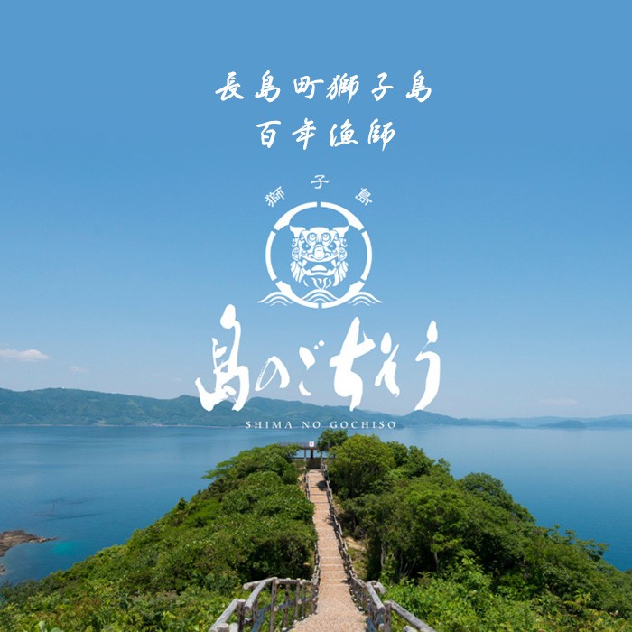 百年漁師　乾燥あおさのり　10袋セット【島のごちそう】gochi-7062R8