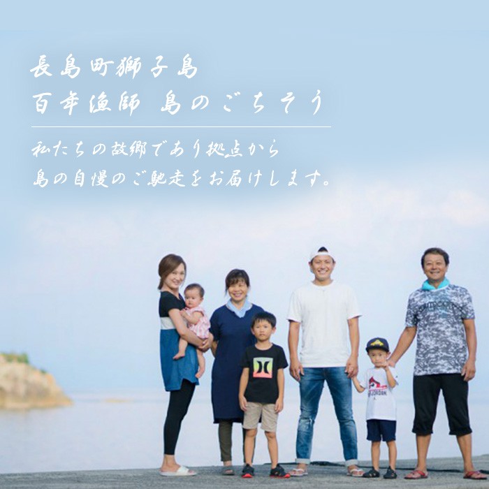 百年漁師　乾燥あおさのり　10袋セット【島のごちそう】gochi-7062R8