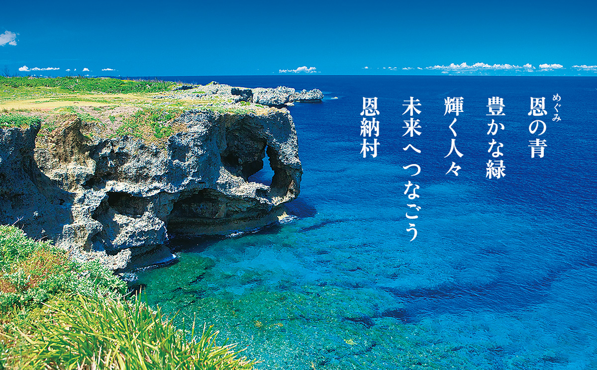 【海レジンアートうみねこ】海のレジンアートコースター（5色セット）