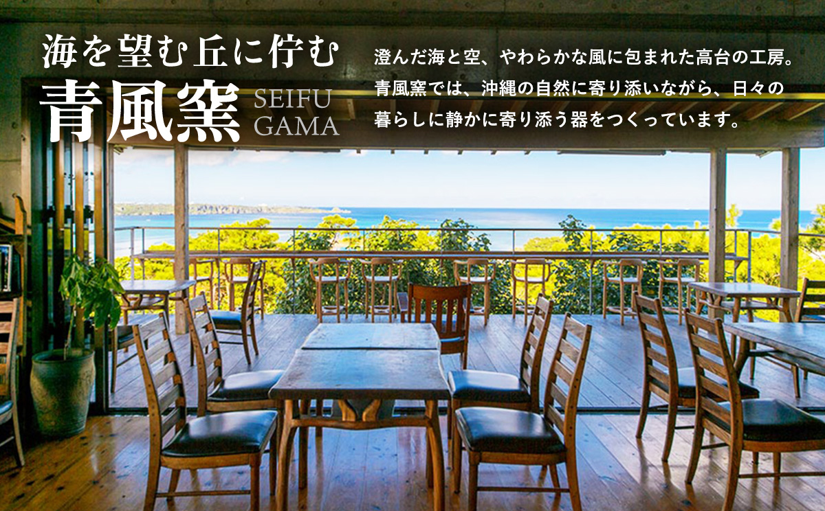 海彩（うみいろ）丸皿 大・小2枚セット【青風窯：玉田　彰作】