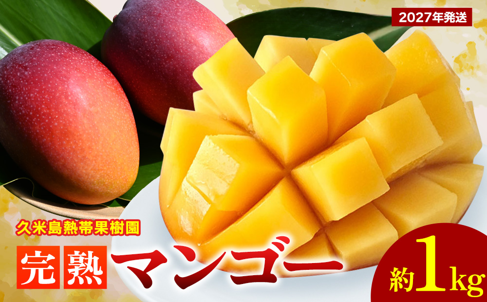 【2027年発送】久米島熱帯果樹園 完熟マンゴー 約1kg（2～3玉）