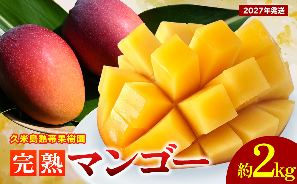 【2027年発送】久米島熱帯果樹園 完熟マンゴー 約2kg（3～5玉）