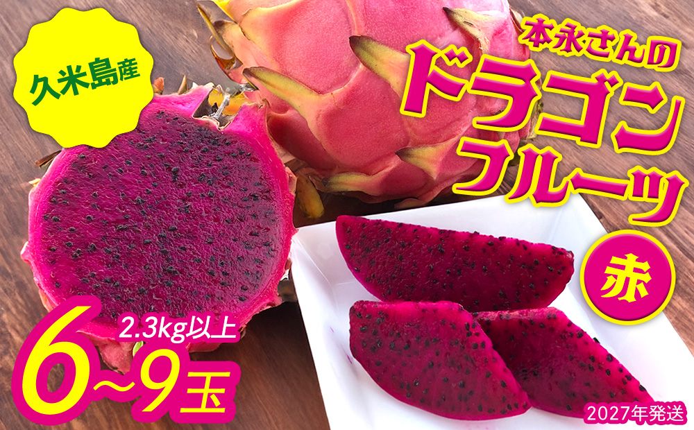 【2027年発送】本永さんの久米島産ドラゴンフルーツ 赤6～9玉（2.3kg以上）