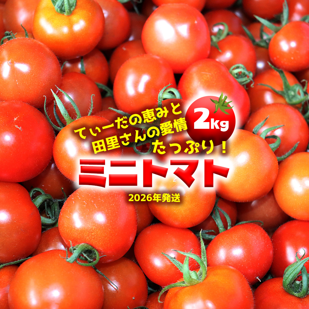 【2026年発送】てぃーだの恵みと田里さんの愛情たっぷり！ミニトマト 赤2kg