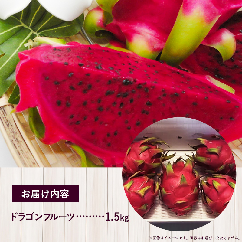 【2026年発送】南国フーズのドラゴンフルーツ 【レッドドラゴンフルーツ】 約1.5kg - 赤 果肉 レッド ピタヤ スーパーフルーツ 先行受付 先行予約 人気 抗酸化作用 ベタシアニン おすすめ 国産 沖縄県 八重瀬町