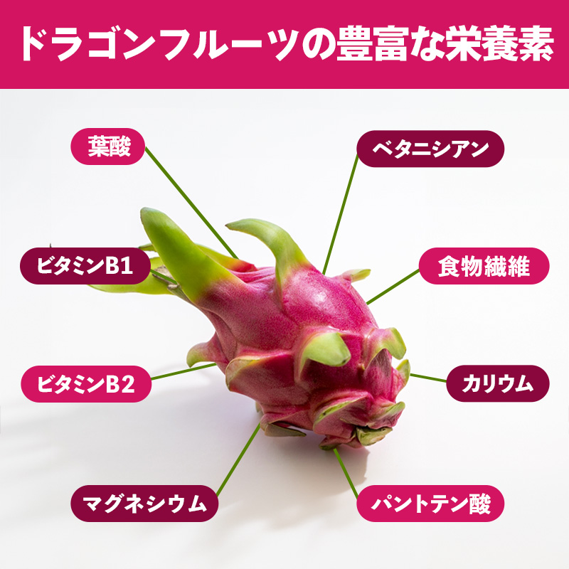 【2026年発送】南国フーズのドラゴンフルーツ 【レッドドラゴンフルーツ】 約1.5kg - 赤 果肉 レッド ピタヤ スーパーフルーツ 先行受付 先行予約 人気 抗酸化作用 ベタシアニン おすすめ 国産 沖縄県 八重瀬町