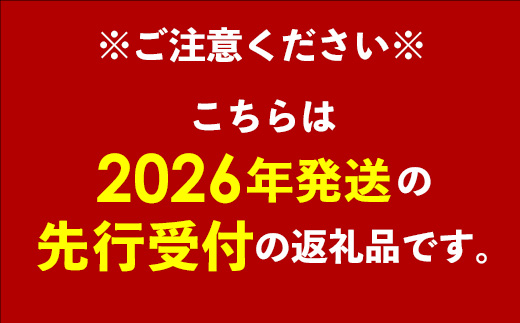 【先行受付】【2026年発送】JAおきなわの産直アップルマンゴー 約1.5kg【ご家庭用・白箱】- 先行予約 沖縄 産地直送 南国フルーツ 旬の味覚 家庭用 オススメ 沖縄県 八重瀬町