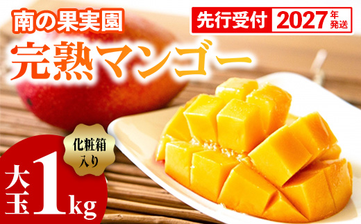【化粧箱入】【先行受付・2027年発送】南の果実園 完熟マンゴー 大玉 1kg（2玉）〈贈答用化粧箱入り〉- 先行予約 沖縄県産 産地直送 アップルマンゴー 旬の味覚 季節の果物 贈り物 ギフト 沖縄県 八重瀬町