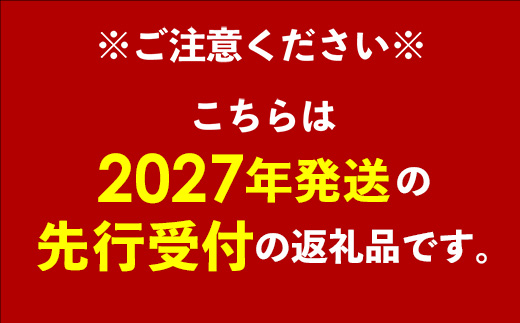 【先行受付】【2027年発送】南の果実園 アップルマンゴー 訳あり品 1.5kg（3〜7玉）- 先行予約 沖縄県産 産地直送 南国フルーツ 旬の味覚 季節の果物 ご自宅用 家庭用 沖縄県 八重瀬町