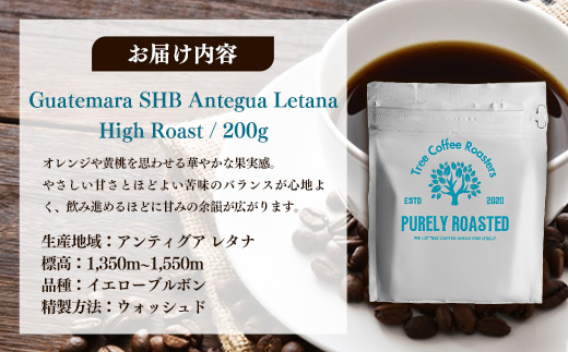 【完全受注焙煎】Tree Coffee Roasters「グアテマラ アンティグア レタナ ハイロースト」 200g - コーヒー 豆 こだわり 自家焙煎 コーヒー豆 熱風式焙煎 本格 贈り物 おすすめ 人気 沖縄県 八重瀬町