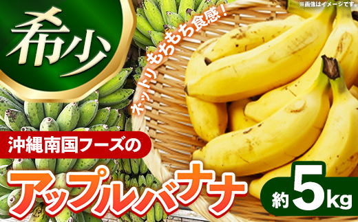 国産 希少種！南国フーズのアップルバナナ 約5kg - バナナ ばなな 小ぶり 沖縄県 産地直送 果物 フルーツ 南国 朝食 おすすめ 沖縄県 八重瀬町【価格改定】