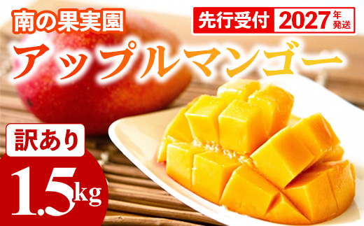 【先行受付】【2027年発送】南の果実園 アップルマンゴー 訳あり品 1.5kg（3〜7玉）- 先行予約 沖縄県産 産地直送 南国フルーツ 旬の味覚 季節の果物 ご自宅用 家庭用 沖縄県 八重瀬町