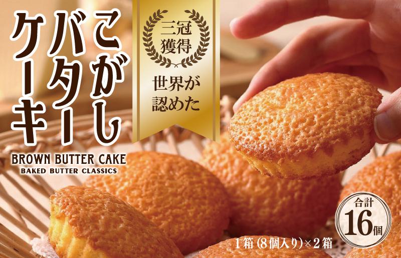 パラグラフ画像