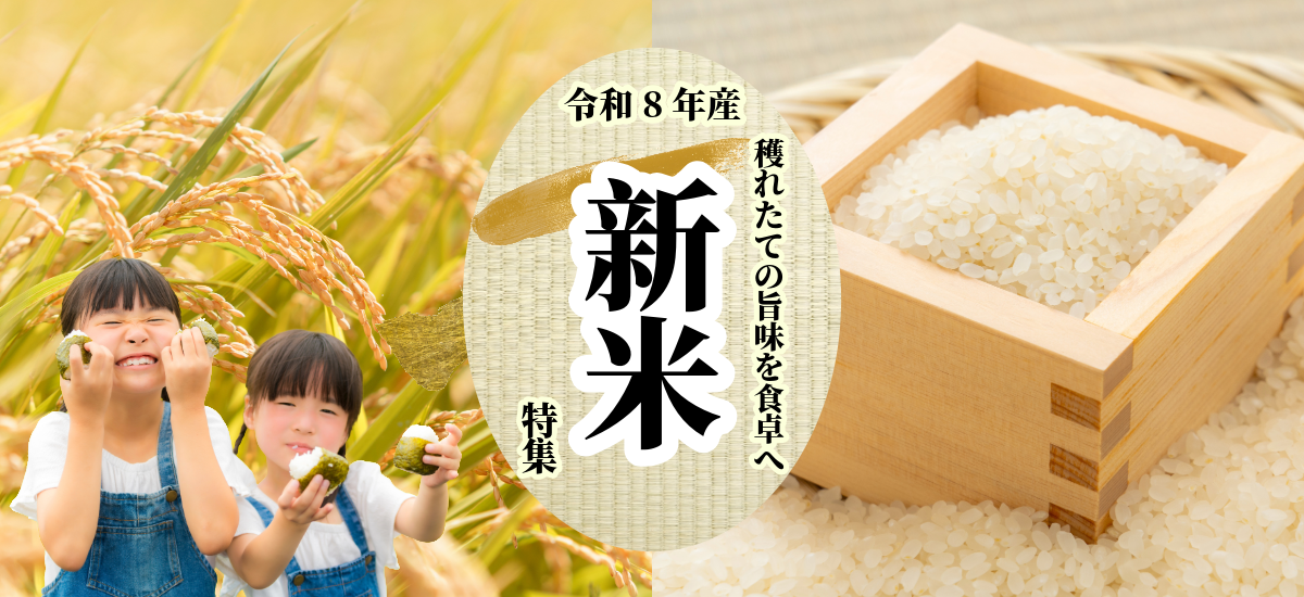 【令和8年産】実りの秋を一足早く食卓へ！2026年新米特集🌾